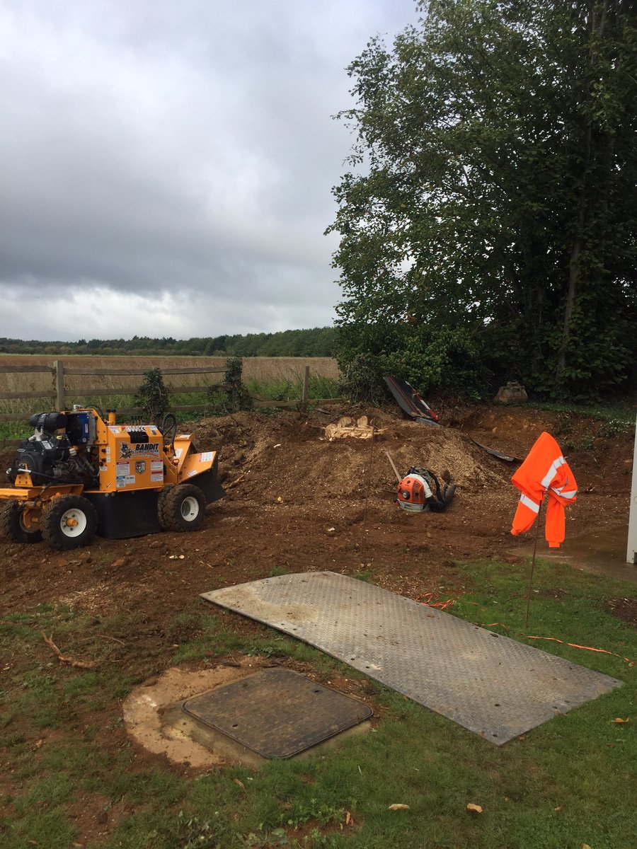 Out with the bandit stump grinder today. Top machine.