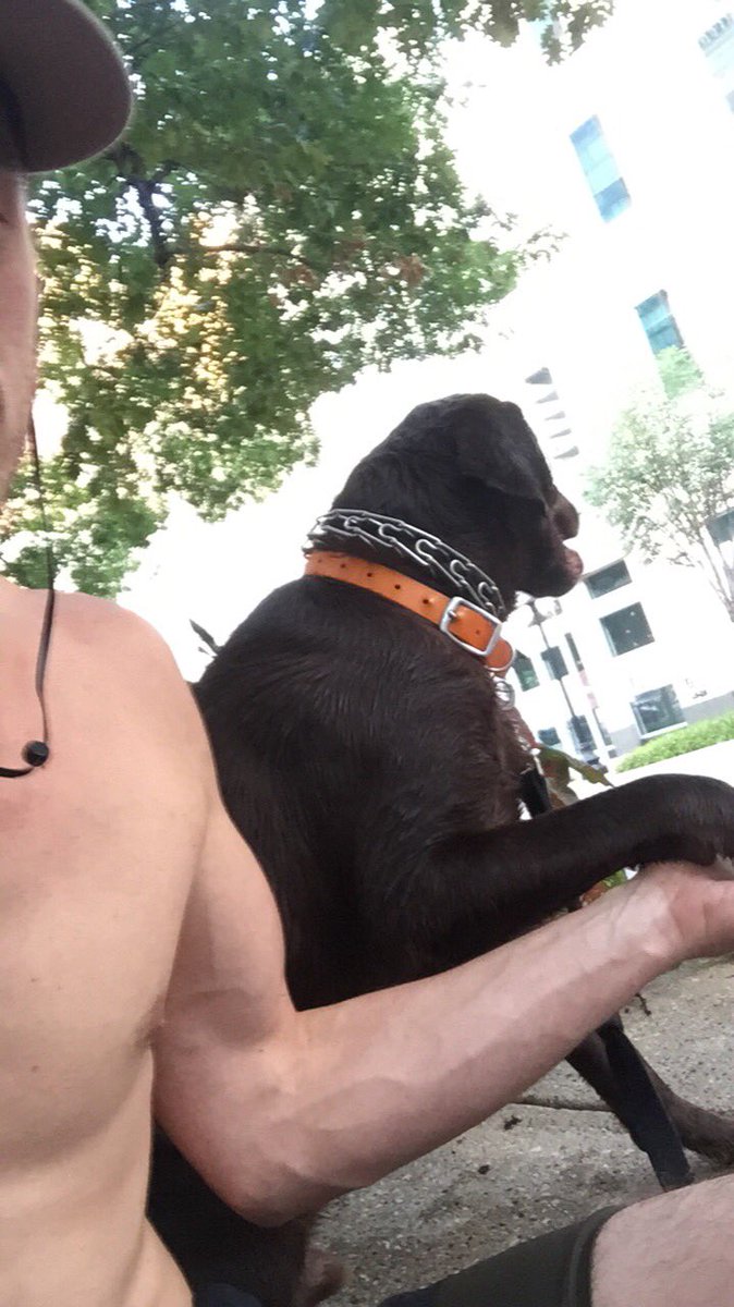 Best Bros Forvever 
#BBF #K9 #USA #fortworth #texas #lab #sardog #workingdog #training #ofcourseIwillholdyourhand #gundog #America #downtown