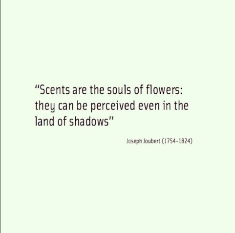 LessisMoreNews's tweet image. #aromatherapeutic #effect #moretoreadonourblog