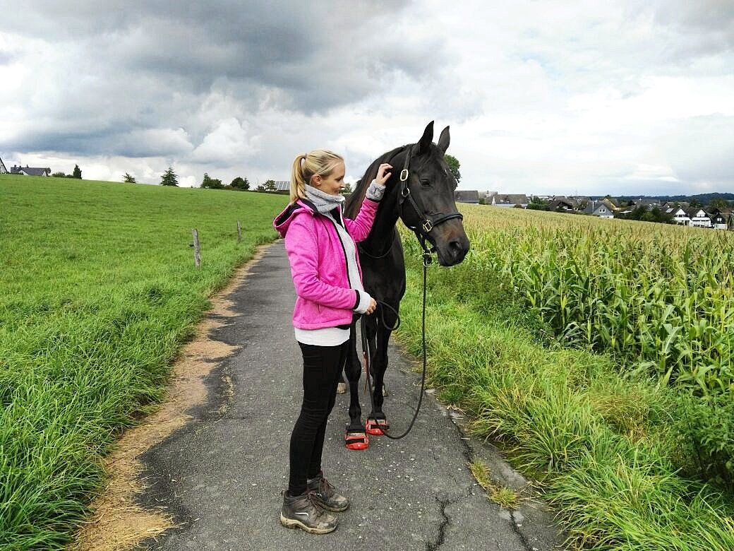 Oh happy day. 😌💕🐴