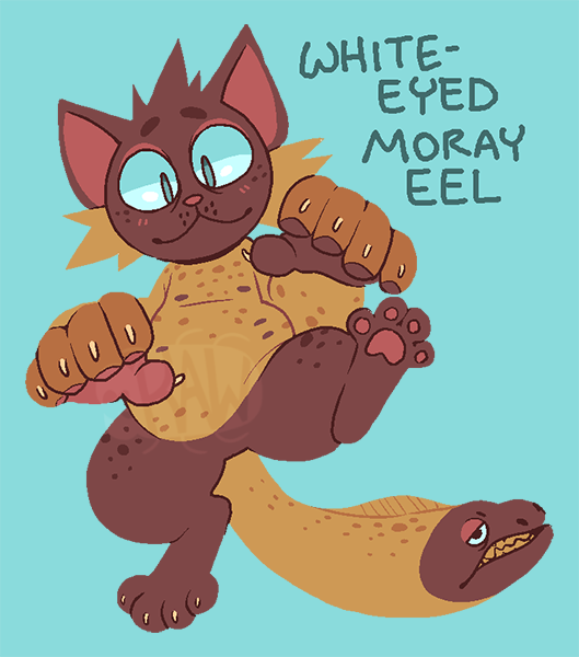 WAWcomm's tweet photo. Eel cat adopts! Came up with this idea the other day and had a lot of fun w/ it.

$45 USD (OBO) each (no trades please). Reply/DM to claim! https://t.co/tlV6pSYBY1