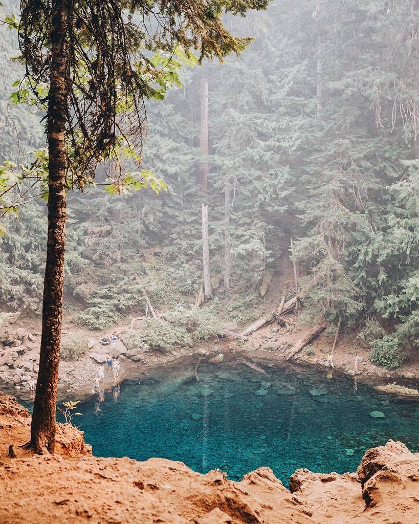 leanneblack_'s tweet photo. Jump?!?
-
-
-
#keepitwild  #simplyadventure #wildernessculture #lifeofadventure #liveoutdoors #exploremore #stayan… https://t.co/78AVVZsBCX https://t.co/CHbOU7w020