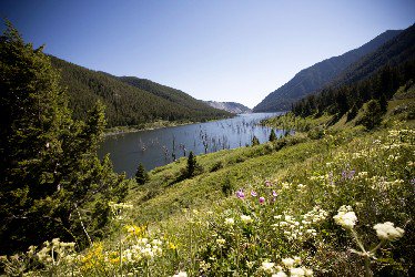companynurse's tweet photo. We’d say Montana is the perfect spot for a conference. #STRIMA https://t.co/ZnXgLIqA1w