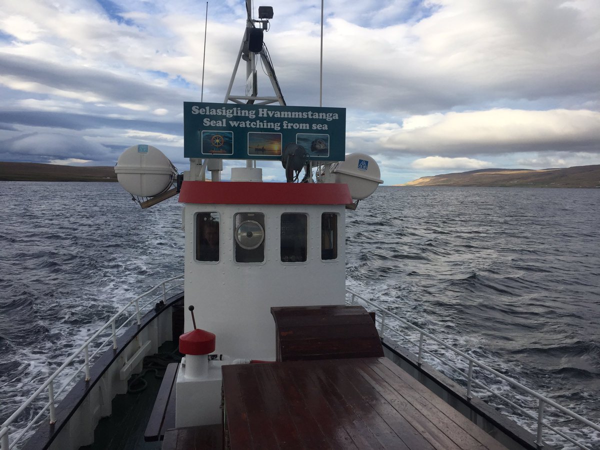 Sealwatching tweet media