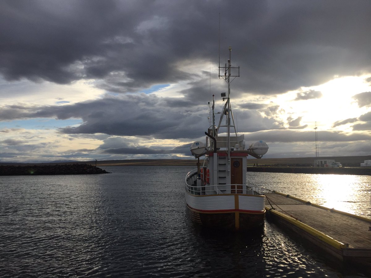 Sealwatching tweet media