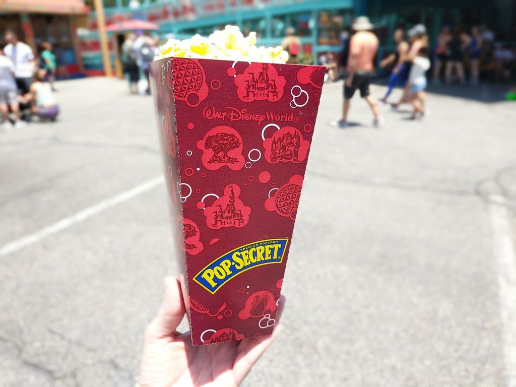 MailtheMagic's tweet photo. Disney popcorn is the BEST😍 
#waltdisneyworld #disney #disneyworld #disneysanimalkingdom #disneygram #instadisney #disneyside #disneymagic … https://t.co/XfVQ7y8qwZ