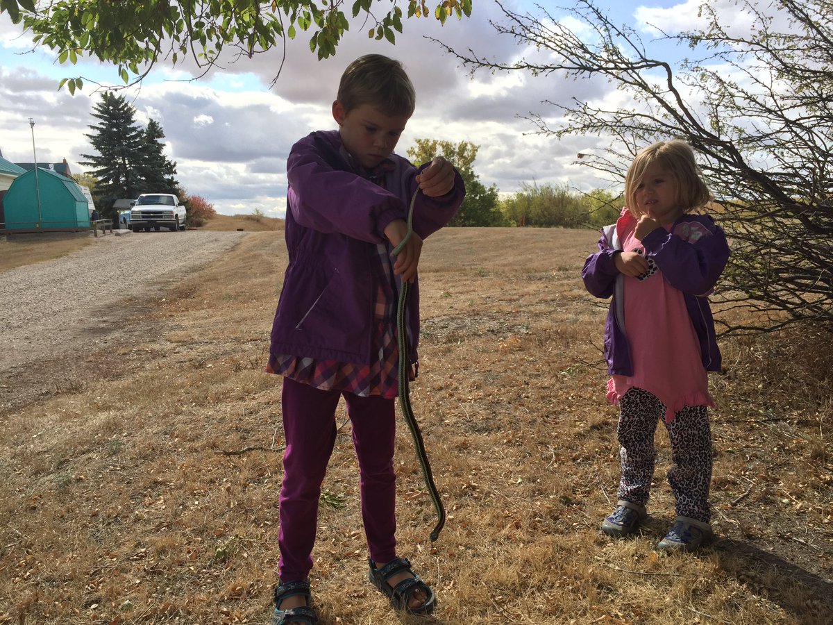 RoddddddRod's tweet image. Snake wrangler.  #nofearkid