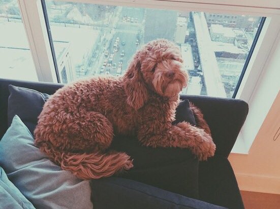 <a href="/rcdtastic/">Dani🌻</a> And who can forget this one 🌎❤️