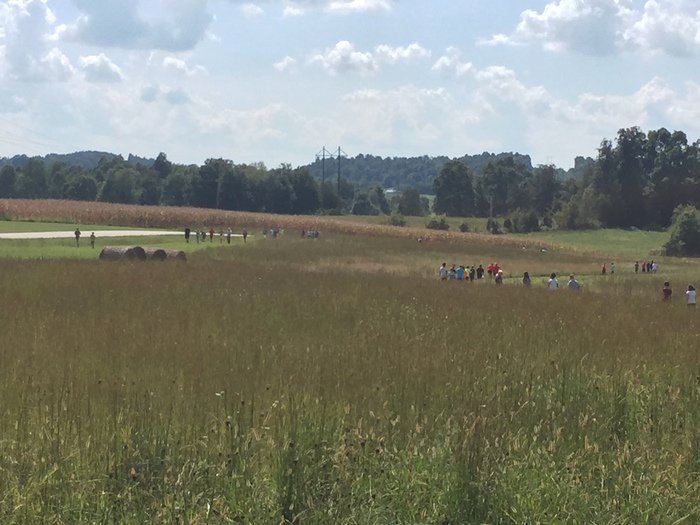 LawlerLions's tweet photo. Lawler's Annual Walk-a-thon to promote physical fitness and raise money for instructional materials. #MyGCS #LawlerPride https://t.co/RlbzNB05It