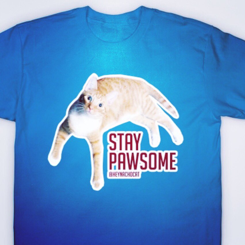 Stay pawsome featuring @heynachocat get it at https://t.co/xW91ket1qt a collection of kitty tees on our @teepublic store https://t.co/FHoSJi3ne6