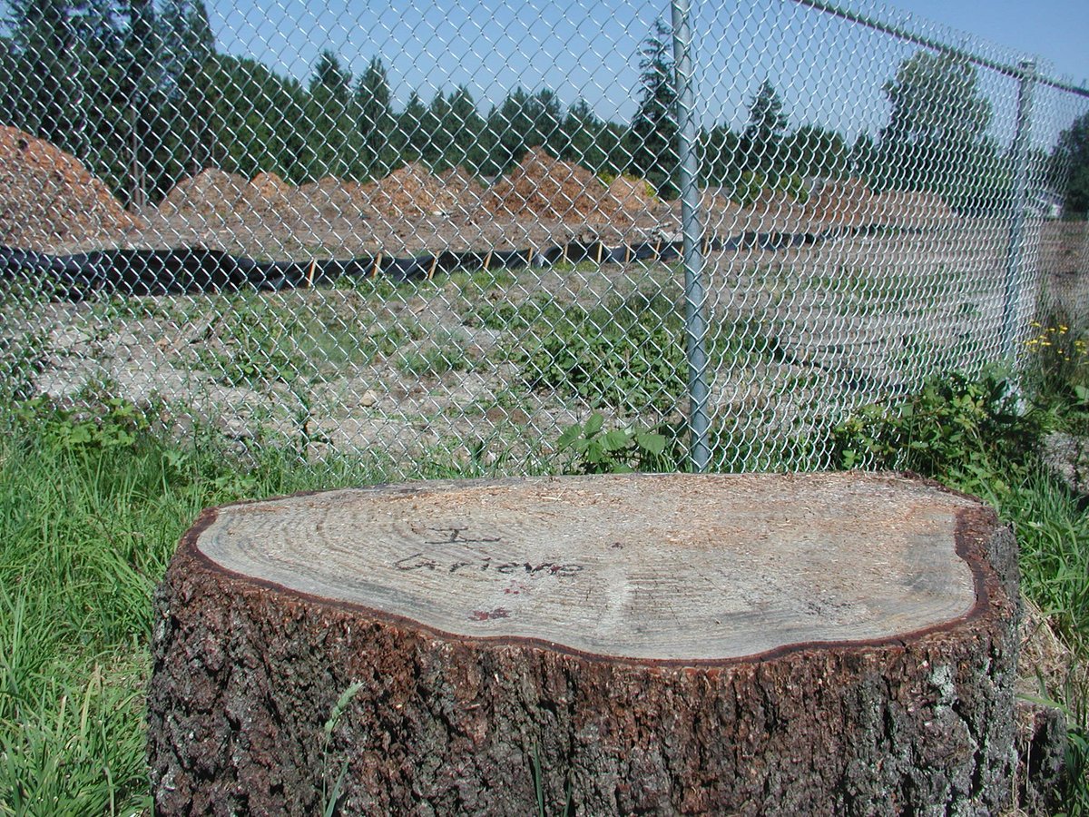 SurreyGrieves's tweet photo. 15637 - 104 Avenue, #SurreyBC: https://t.co/11Jwtg8Adv https://t.co/kkeCPnBhyJ
