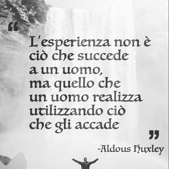 DColarullo's tweet image. 