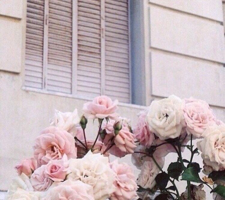 bbylonluke's tweet image. luke with flowers —;♡