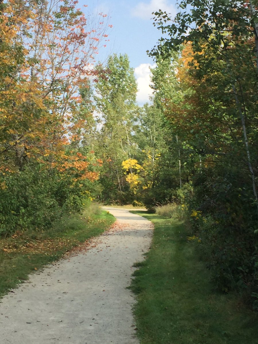 MrsStark2's tweet photo. A few photos from my run today! My mindful time. #grateful #herogeneration #modelmindfulness https://t.co/lEiviwBgQA