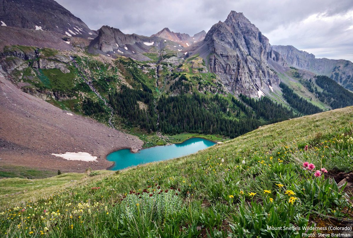 Wilderness's tweet image. “Like music and art, love of nature is a common language that can transcend political or social boundaries.” - Jimmy Carter