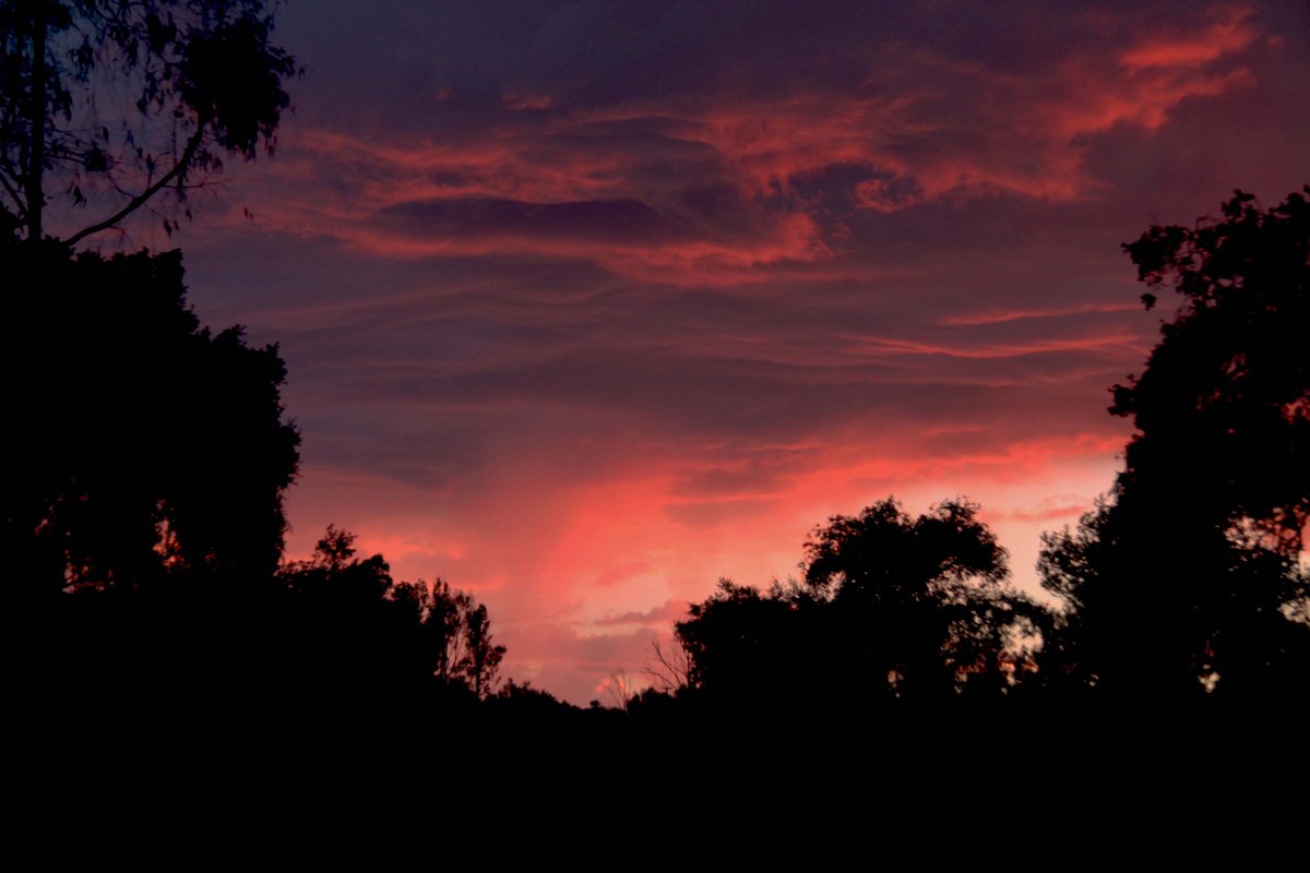FTR_Photo's tweet photo. Some clouds I photographed outside my door. https://t.co/lZUGny7jEx