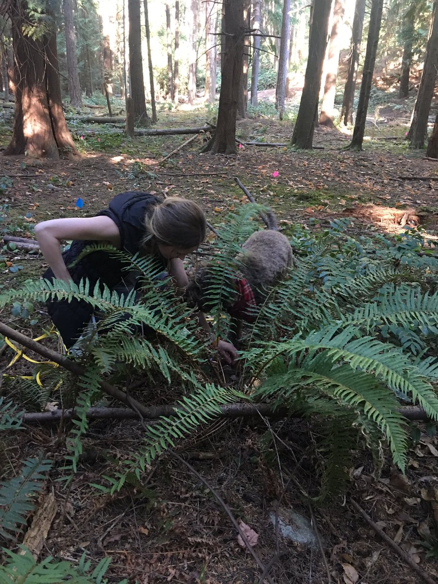 TruffleDogCo's tweet photo. The squirrels at the park where we teach #trufflehunting classes will be happy this week.... They ate the buried truffles for students!!! https://t.co/A51im89ZKw