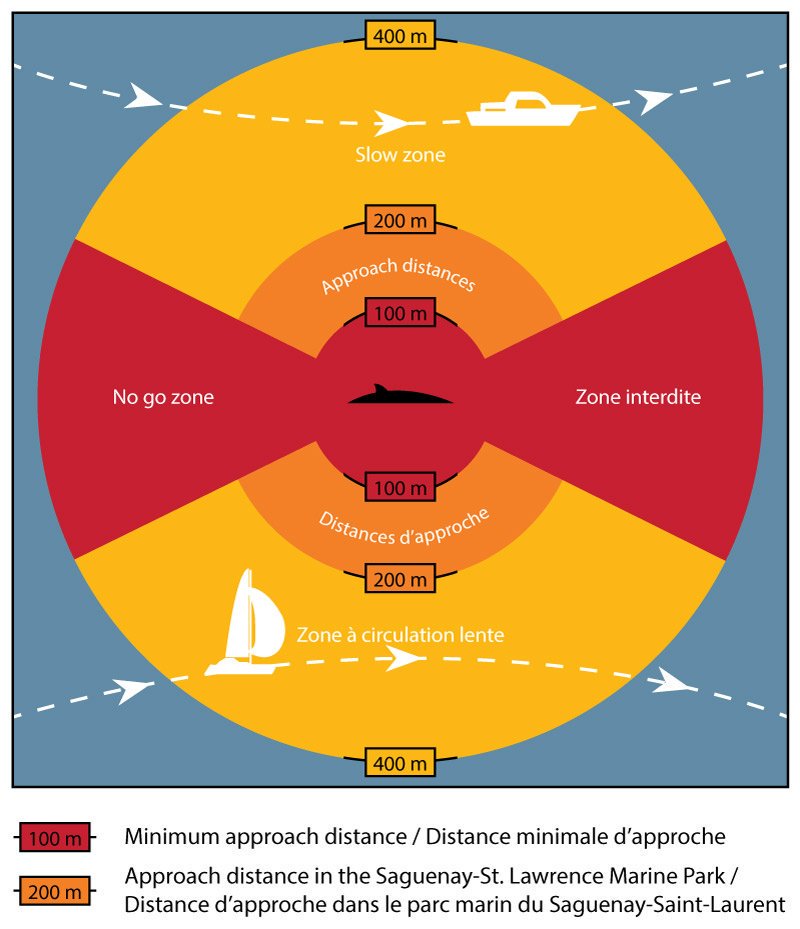 DFO_Pacific's tweet photo. Just a reminder, if you spot a #whale, remember to 'be whalewise' https://t.co/U542G2Vfpl https://t.co/vt2gs8c7H5
