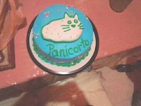 GalletitaGernay's tweet photo. El pastel de cumpleaños de un pequeño fan :D @lenaychantelle #panicorto https://t.co/ZrLiwnACWN