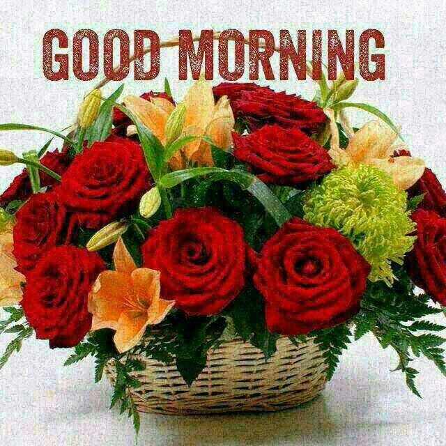 ranigill7's tweet photo. #GOODMORNING #WOW!!! new week
#NEW DAY MONDAY #18thSEP
WELCOME
#WISHING YOU ALL A WONDERFUL DAY N WEEK
#BE HAPPY
#BE BLESSED
#CHEERS https://t.co/zkd0DTSgib