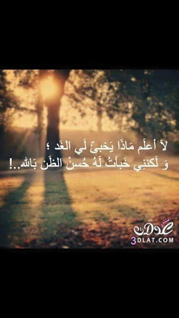 Victoria Ghazsli (@vghazsli) on Twitter photo 