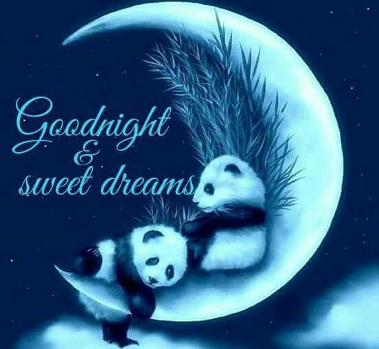 Angelademan1's tweet photo. https://t.co/Mz9DT4XBgc