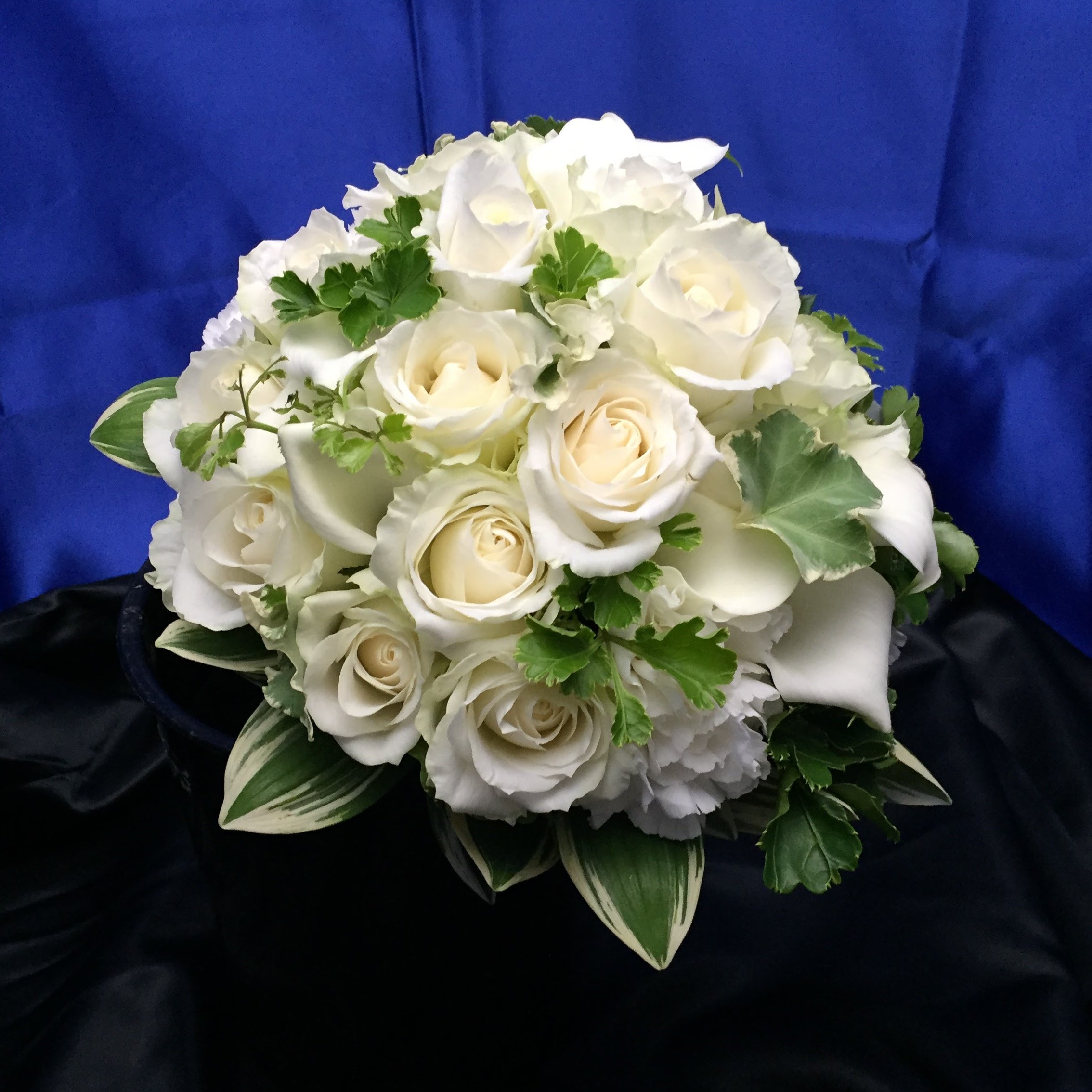 アクエリウムお台場東京 Aqueriumodaiba Twitter