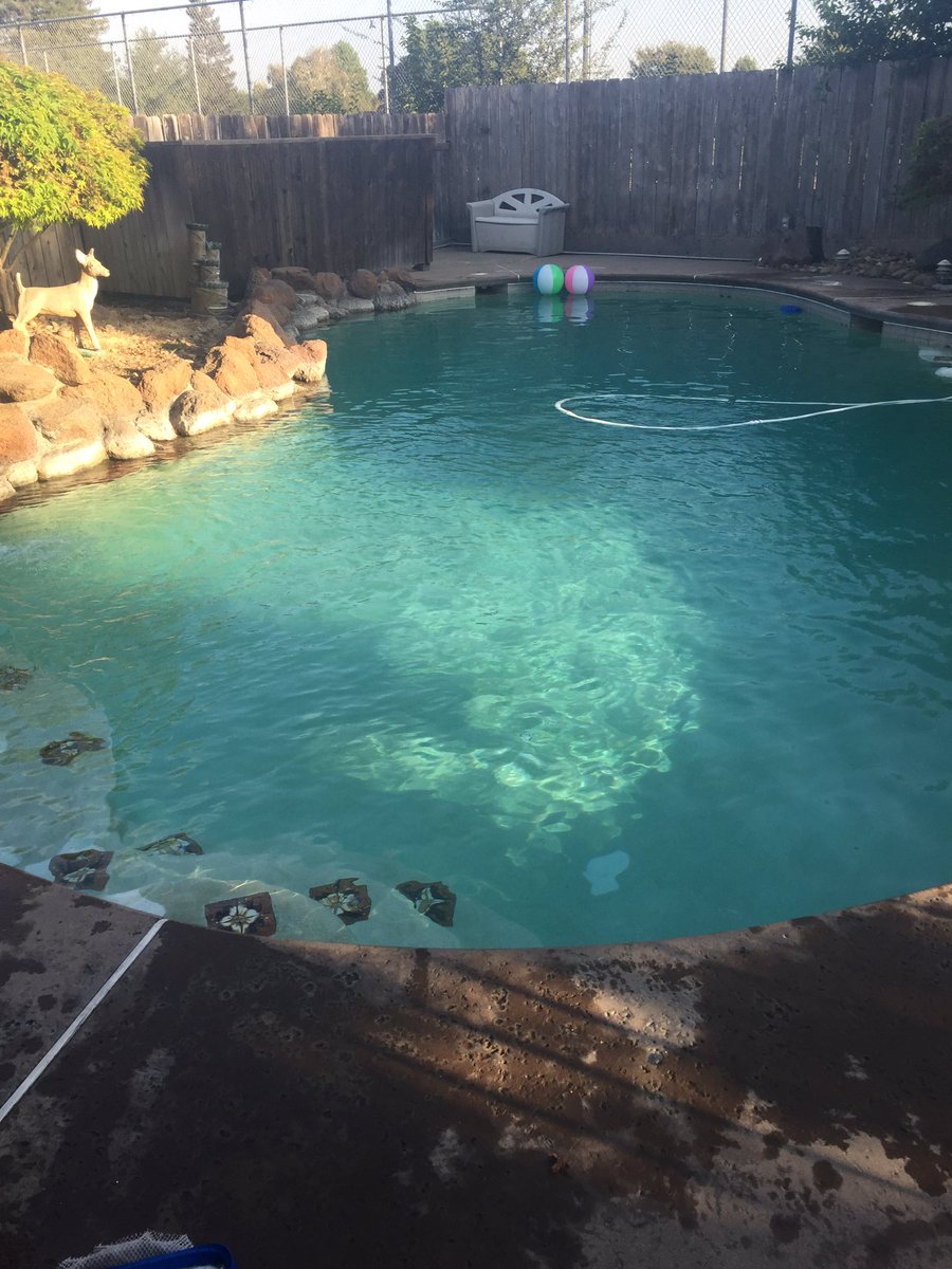 poolppl's tweet image. #PoolPpl #CleanUp #HappyClient