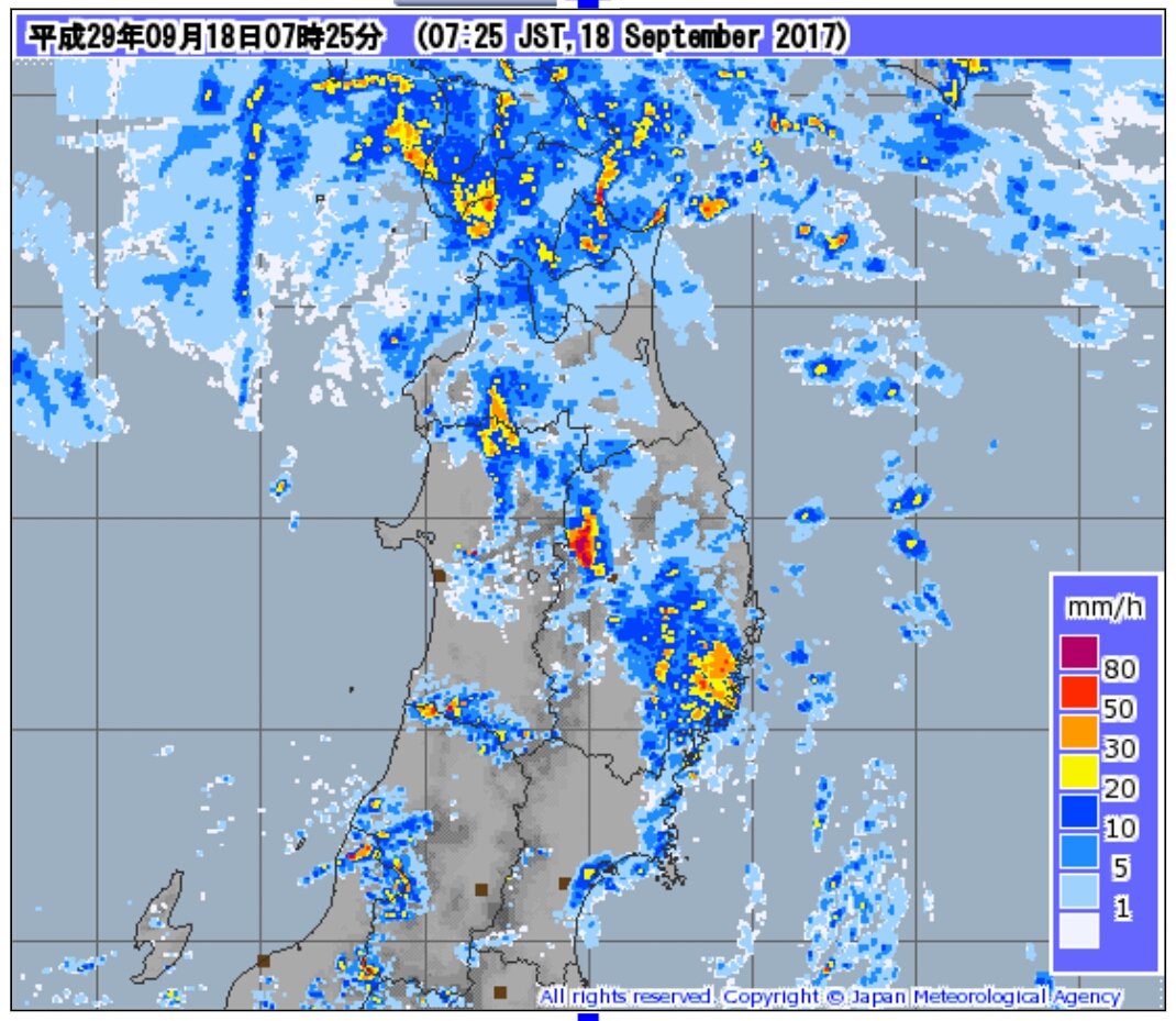 降水ナウキャスト