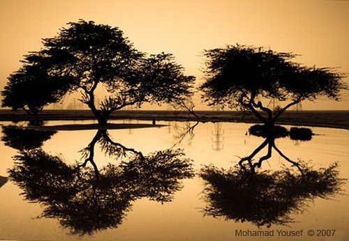 Simplicity is not a simple thing. - Charles Chaplin