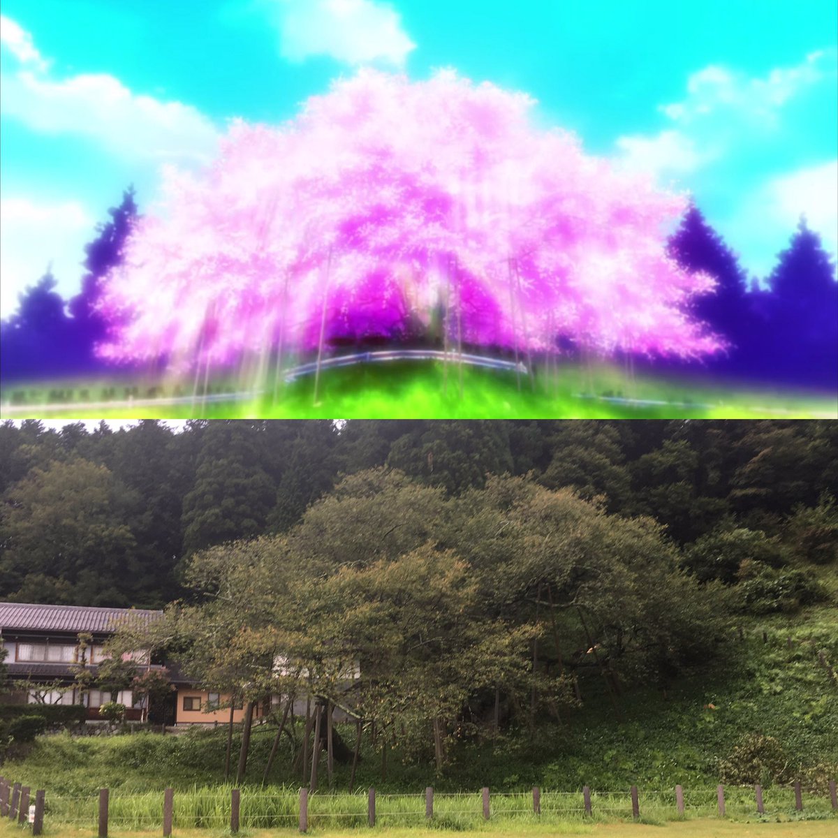 Akky Ar Twitter 氷菓聖地巡礼 最終話vol 2 生きびな祭の続きです これに関してはしゃあない思う やっぱ桜咲いてないと雰囲気でないよねぇ これを生でみたら凄いんだろうなw それと生きびな祭ってマジであるんだねw 氷菓 Akky聖地巡礼