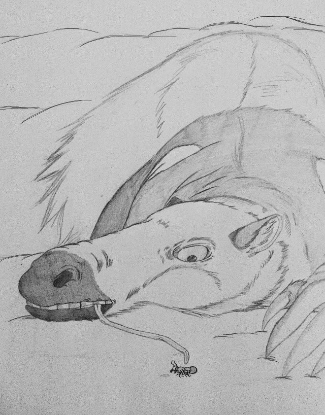 CaitsBlog's tweet image. Anteater