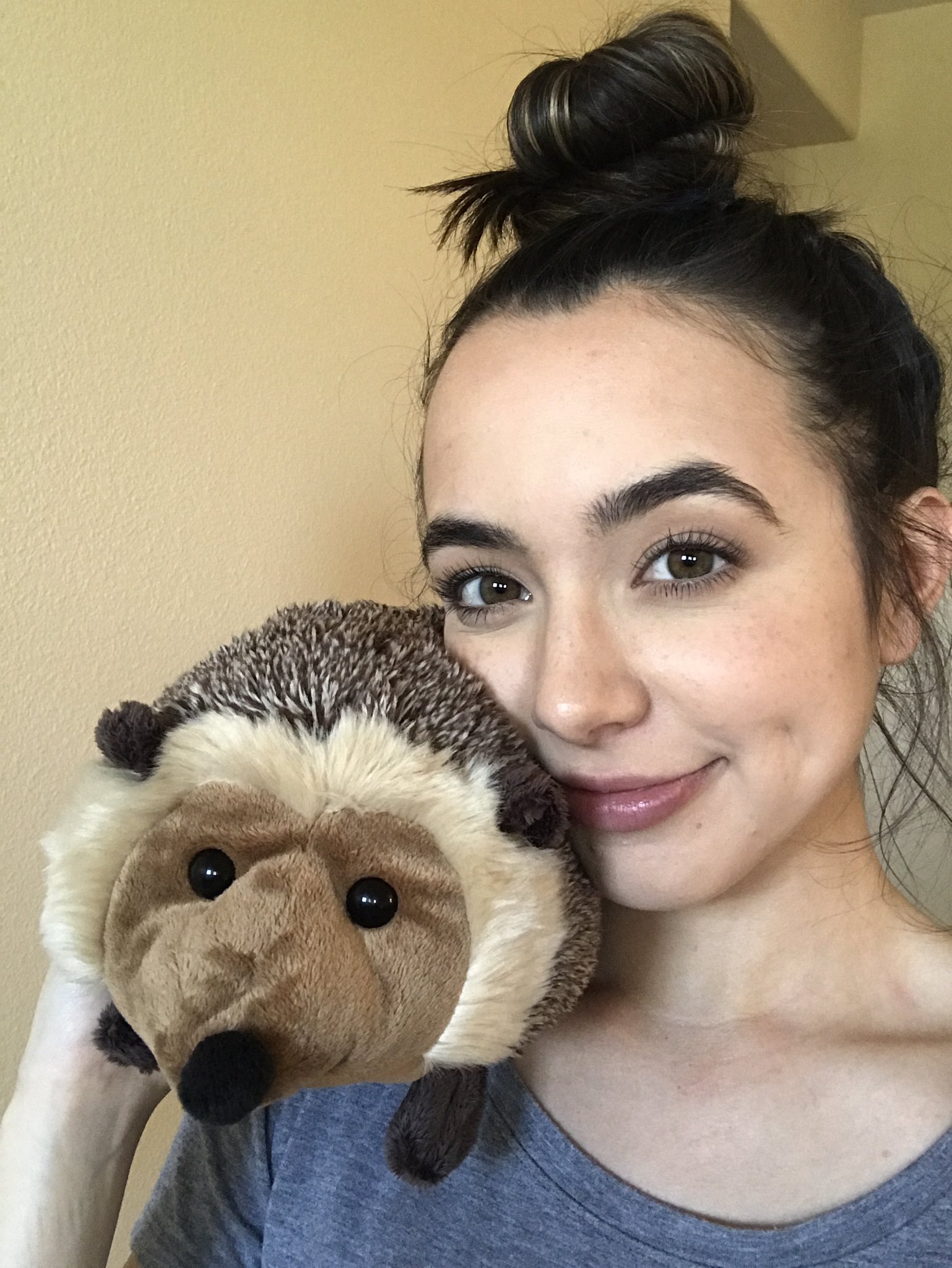 Veronica Merrell on Twitter: &ldquo;I got a Hedgie and he&rsquo;s a cute hedgie 🙊💜…