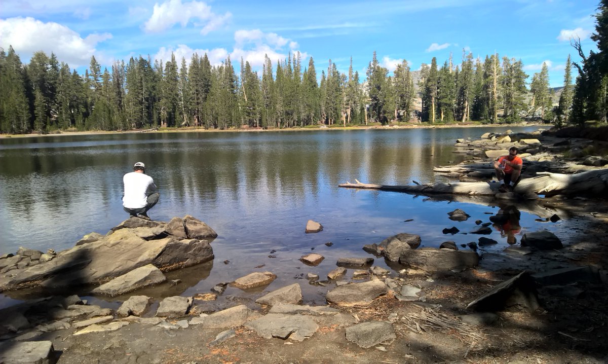 Love the Backcountry tweet media