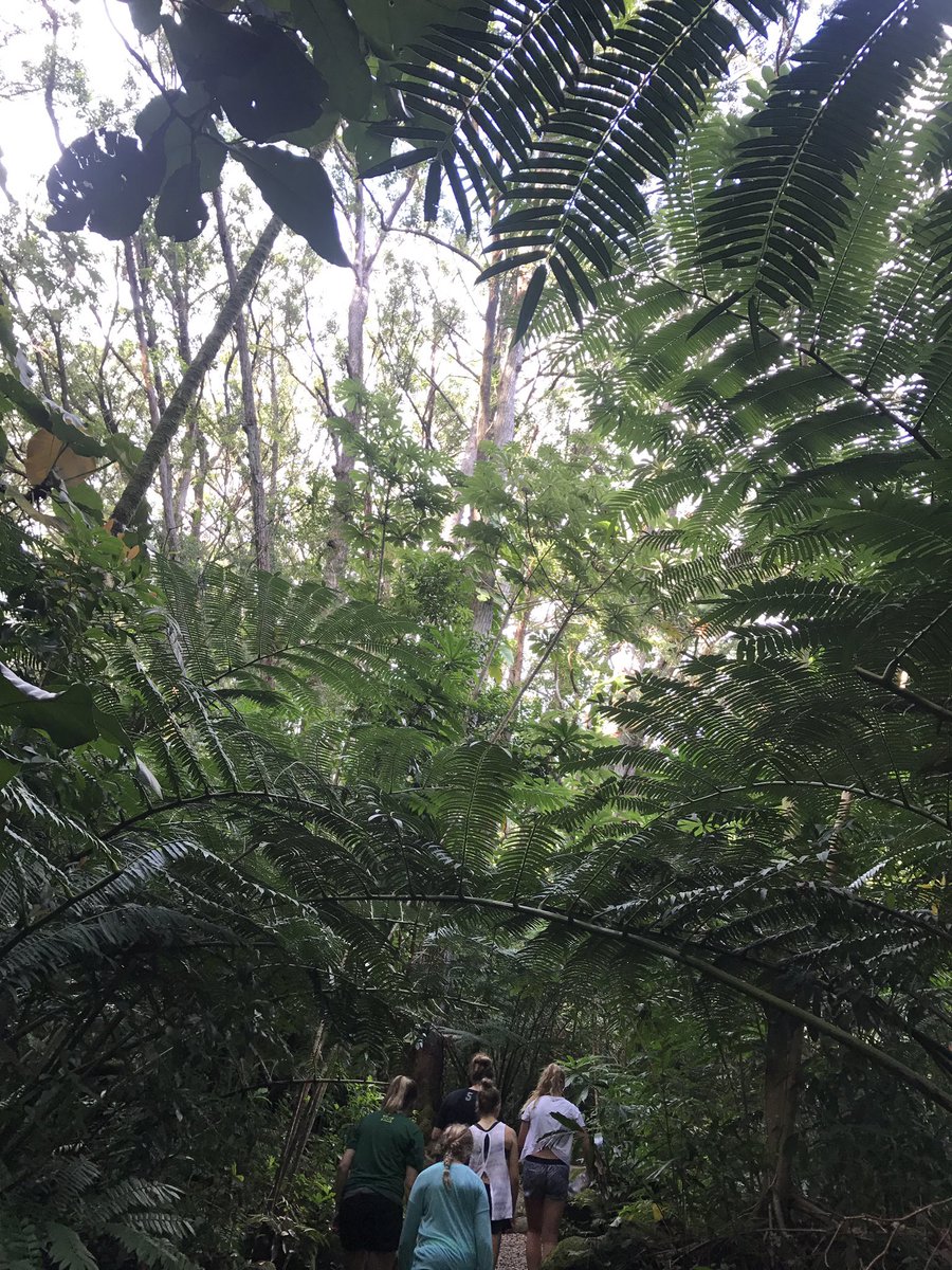 BaylorVBall's tweet photo. Waterfall hike after practice -- sure, why not? π»ππ€ #SicEm https://t.co/Nq1yhjbCWL