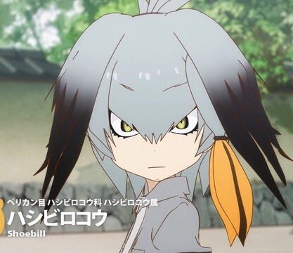 View image on Twitter View image on Twitter