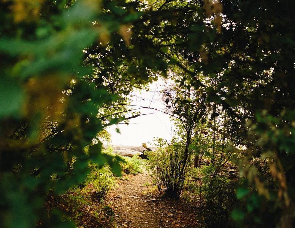 To the light #goldenhour #light ift.tt/2xN2TKP