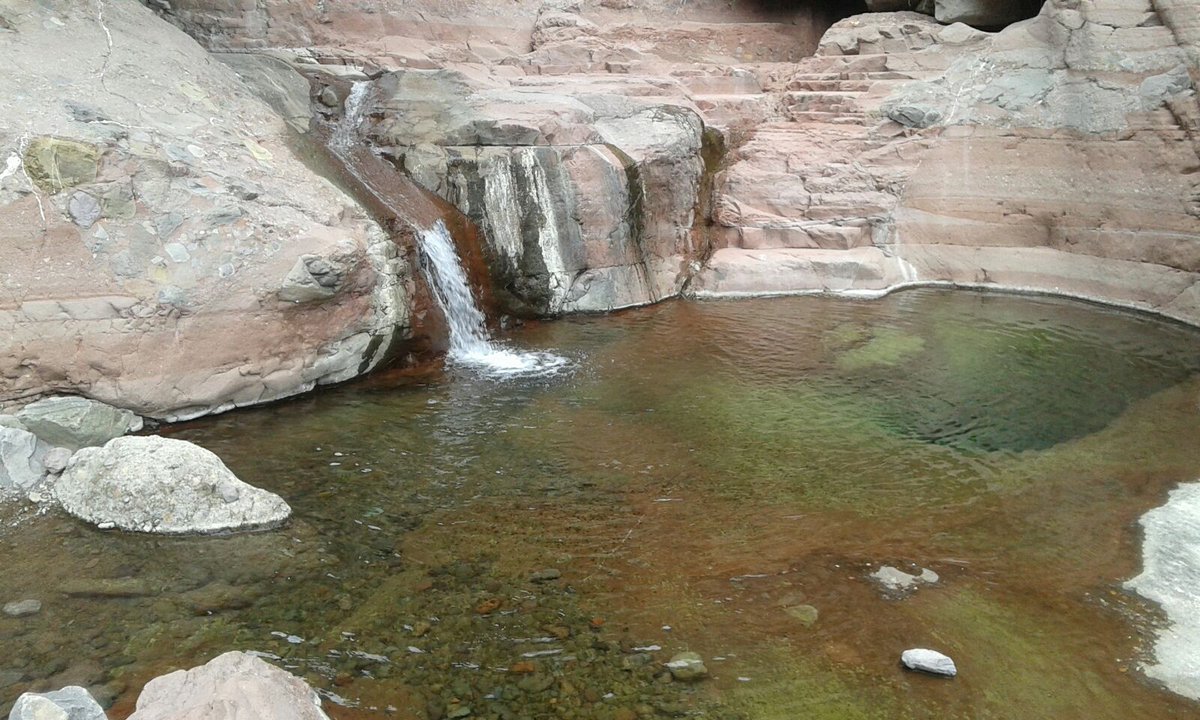 Wild Loreto Tours (WildLoretoTours) Twitter