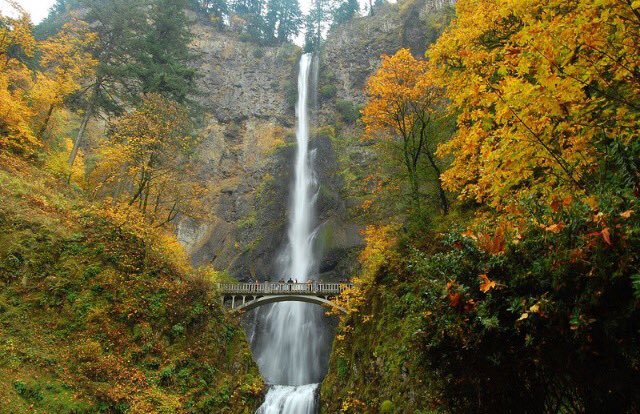 The Eagle Creek fire has now burned through Multnomah Falls in Oregon. The falls will never look like this again in our lifetime.
