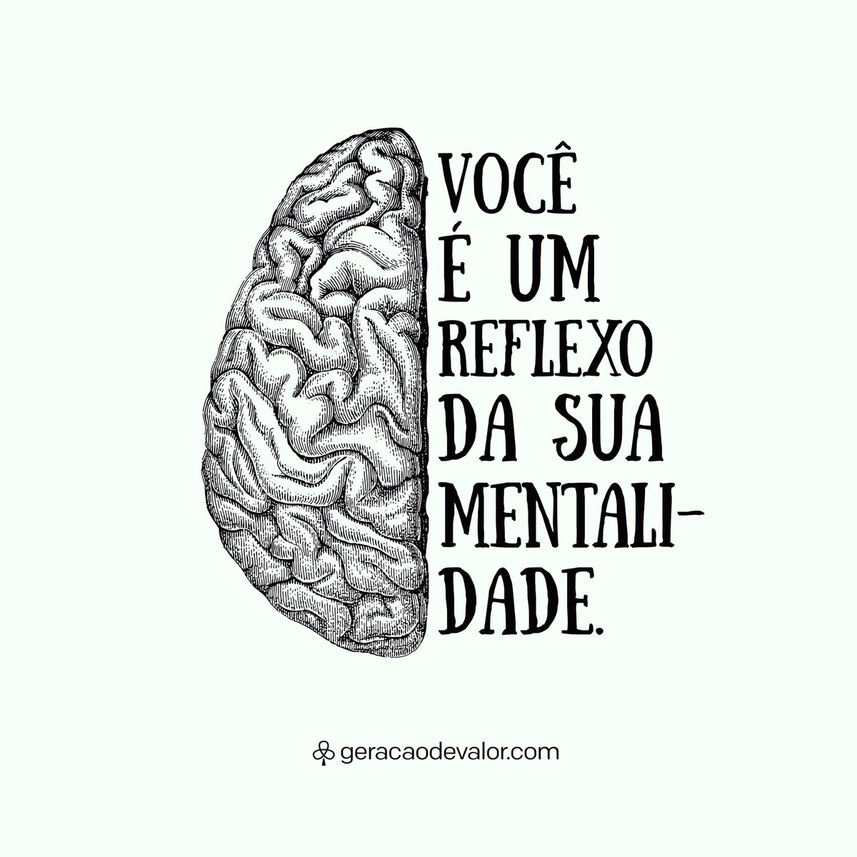 GeracaodeValor's tweet photo. https://t.co/N0Gezise6d