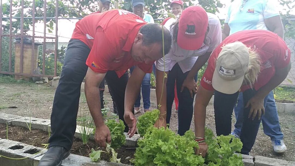RMarcoTorres's tweet photo. El Municipio Camatagua se encuentra incorporado a la agricultura para la producción de alimentos en sus comunidades #MiPatriaFrenteEnAlto https://t.co/m4wNi88VGg