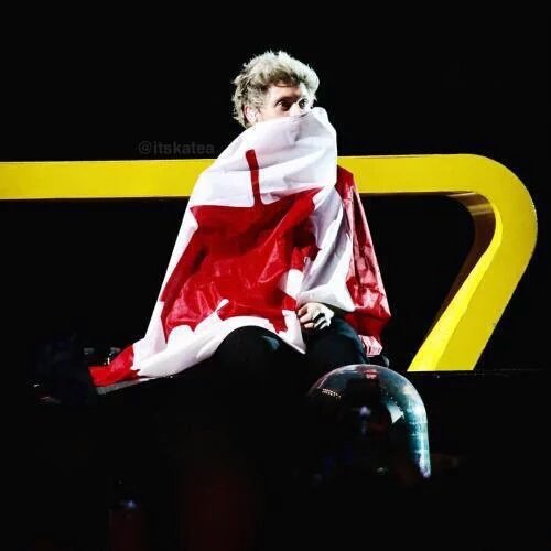 nialllittlemixx's tweet photo. Been 2 years since #OTRAMontreal :(
I miss it so much ☹
(1st pic is mine) https://t.co/SJgrMPRsVF