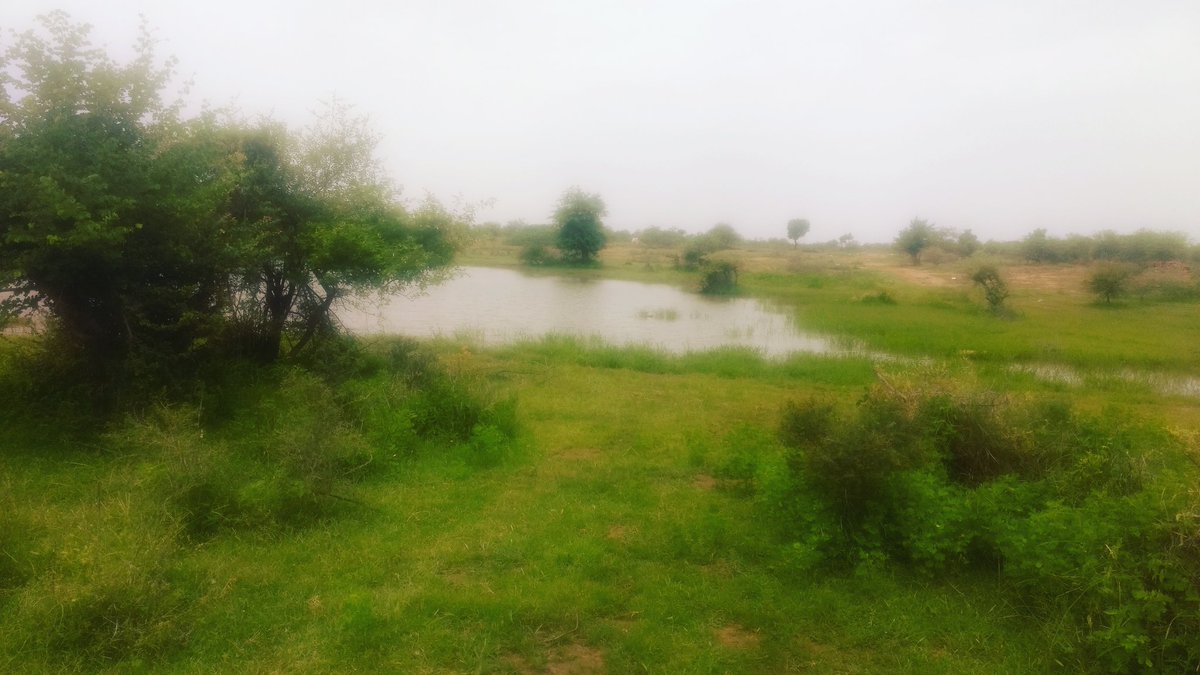 NandanDubey_'s tweet photo. #Clean_forest #green_forest https://t.co/dL2ng0vPCN