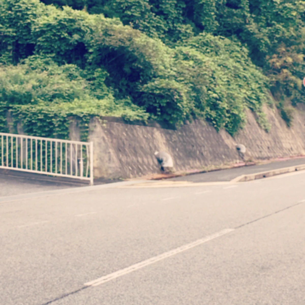 おばあちゃんかと思って心配したのにww近寄ってみたらおばあちゃんじゃなかったww