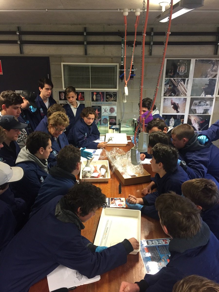 MGGreenways's tweet photo. 9C @MentoneGrammar boys investigating fish adaptions @VicFisheries #RealLearning #OutstandingOpportunities https://t.co/bPoLrGHG8x