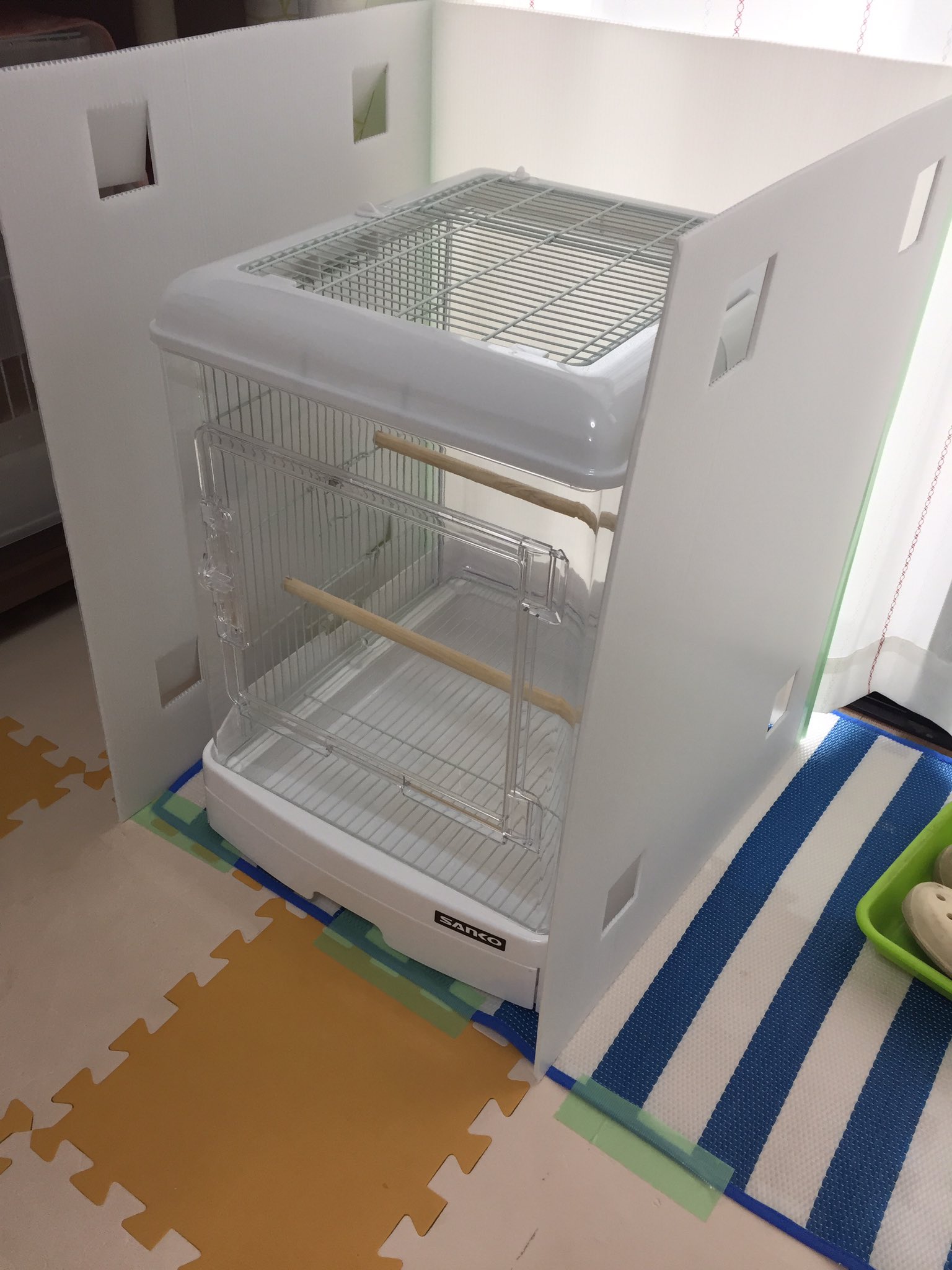せむ 通販中 インコに新しい防音装置を アクリルケース高いので こないだの休みにプラダン切り貼りしてみたよ あとは扉に合わせて天板つくって防音材敷き詰め そして野郎供に中に入って叫んでもらう アクリルケース5万 手作り数千円 で済みそうだから