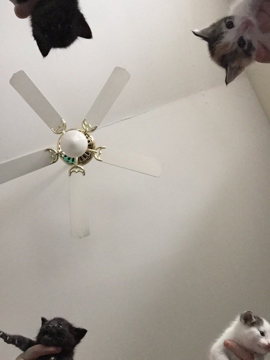 ComedyPosts's tweet photo. open for a surprise https://t.co/fVMNb5uKAc