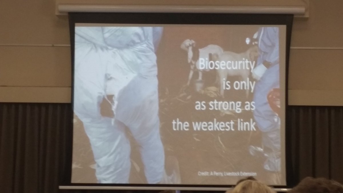 KB_and_Dug's tweet photo. Dont be that weak link - take responsibility and do the best you can to protect our industry #cantdonothing https://t.co/DkCWzMN97F