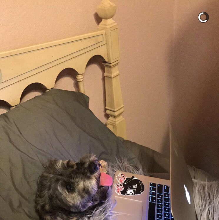 __kvren's tweet photo. Open for a surprise https://t.co/UzDYdnZF3l