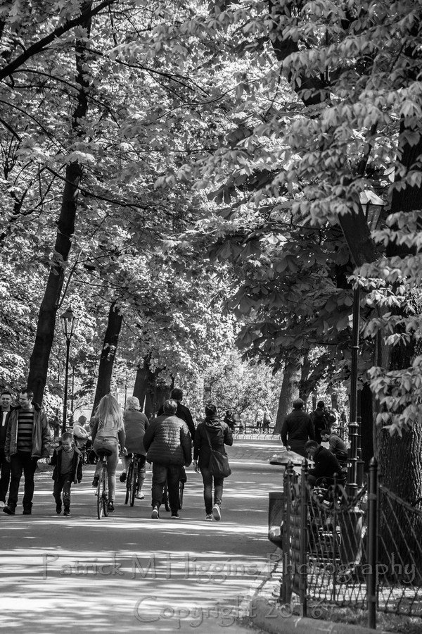 PatrickMHiggins's tweet photo. #Krakow  @krakow_pl @KrakowIYP @krkexperience @IguideCracow @KrakowAirport @LinkToPoland @malopolskaPL @PolandIYP https://t.co/iYzHeD5Qux https://t.co/OdZ1ZHdUn0